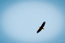 Day68-14.jpg