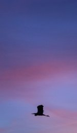 today2_7 (593x1024).jpg