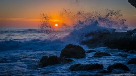 CamdenLagunaBeach-1_zpse39d6546.jpg