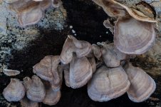Stack--101.jpg