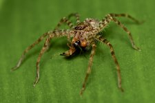 DSC_5001.jpg