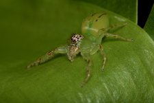 DSC_5052.jpg