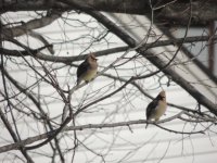 DSCN9524.JPG