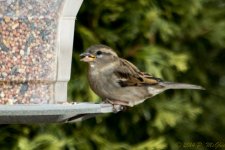 DSC_7846.jpg