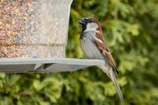DSC_7848.jpg