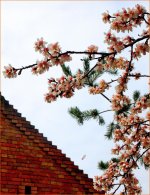 spring 2014color.jpg