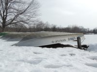 DSCN9508.JPG