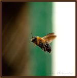 DSC_5421.jpg