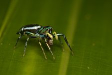 DSC_5081.jpg