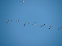 DSCN9641.jpg