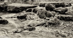 Stepping Stones (1 of 1).jpg