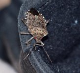 DSC_4425.jpg