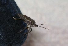 DSC_4438.jpg
