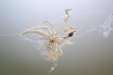DSC_1709_642.jpg