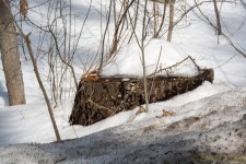 DSC_7877.jpg