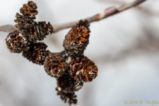 DSC_7880.jpg