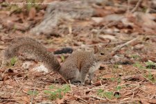 DSC_0765.jpg