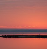 Nikonites-70-1.jpg