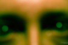 Day70-3.jpg