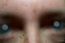 Day70-6.jpg