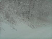 DSCN0539.jpg