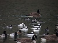 DSCN9655.jpg