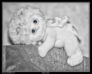StuffedAnimal.jpg