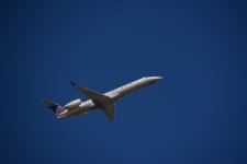 DSC_4748.JPG