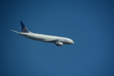 DSC_4761.JPG