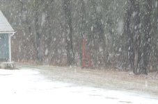 071 Snow-140312_02.jpg