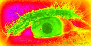 My Eye.jpg