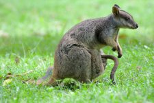 DSC_5113.jpg