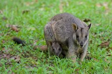 DSC_5136.jpg