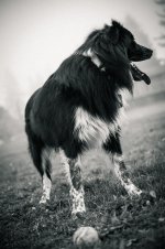 BrodyWithBallEditedB&W2.jpg