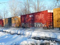 DSCN0546.jpg