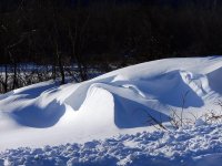 DSCN0547.jpg