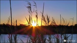 03-13-14 Sunset.jpg