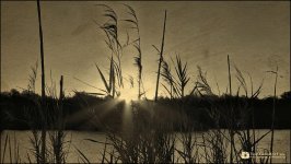 Sunset in B&W 3-13-14.jpg