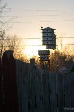 Day72-2.jpg