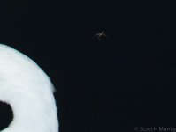 SHM_1100-2.jpg