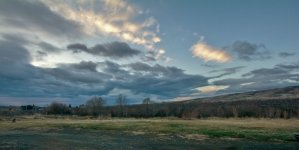 710_1391-2 (1000x502).jpg