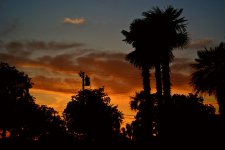 Sunset.jpg