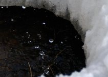 DSC_2423.jpg