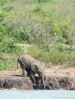 DSC_7644.jpg