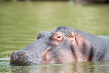 DSC_7699.jpg