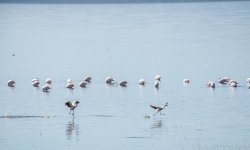 DSC_8168.jpg