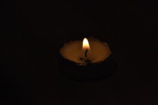 DSC_2460.jpg