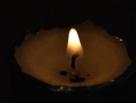 DSC_2461.jpg