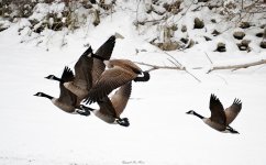 DSC_0746 (2).jpg