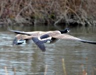 DSC_0860.jpg